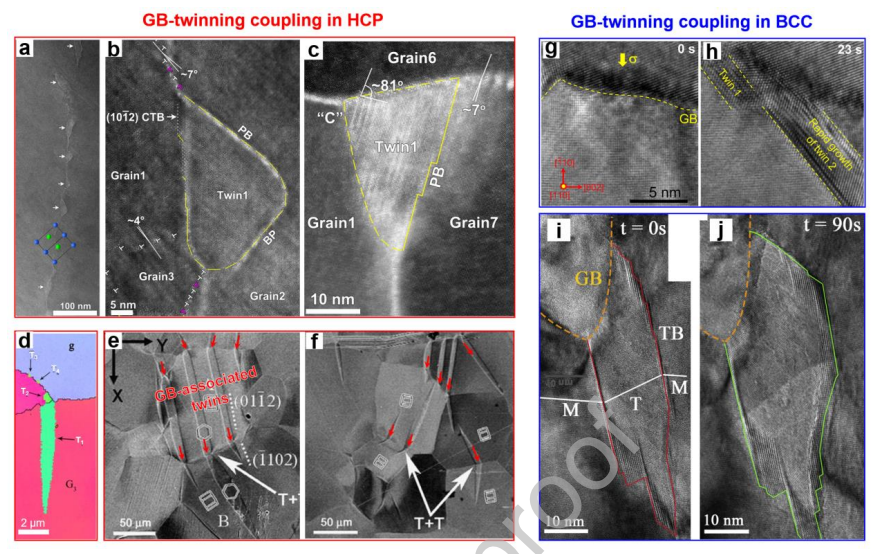 晶界变形与孪晶在其他金属系统中的耦合